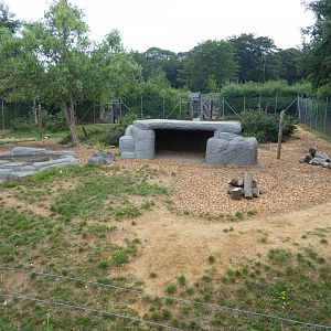 Edge of Africa Spotted hyena exhibit 050819