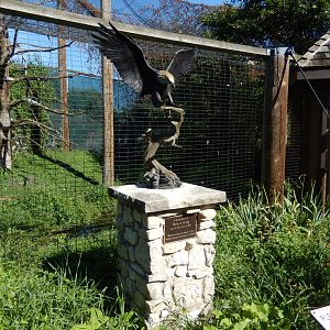 8/19/2019 - Bald Eagle Statue