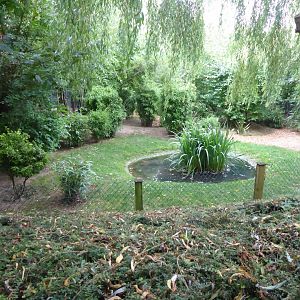 Edge of Africa - Blue crane and Blue duiker exhibit 050819