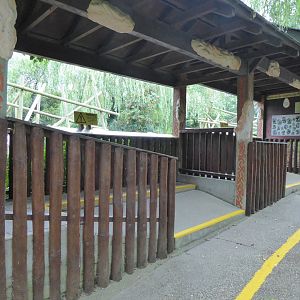 Edge of Africa - Mandrill viewing area 050819