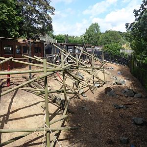 Gelada exhibit 050819