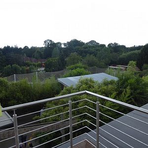 View across zoo from upper level Chimpanzee viewing area 050819