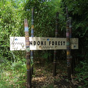 Ndoki Forest - Sign