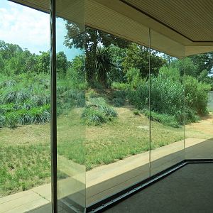 Ndoki Forest - Western Lowland Gorilla Exhibit - Gorilla Base Camp Viewing Building