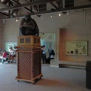 Ndoki Forest - Western Lowland Gorilla Exhibit - Gorilla Base Camp Viewing Building
