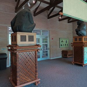 Ndoki Forest - Western Lowland Gorilla Exhibit - Gorilla Base Camp Viewing Building