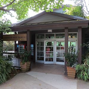 Ndoki Forest - Western Lowland Gorilla Exhibit - Gorilla Base Camp Viewing Building