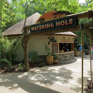 Ndoki Forest - Watering Hole
