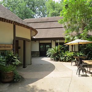 Ndoki Forest - Watering Hole