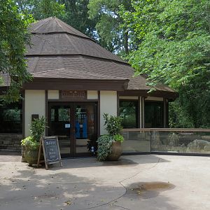 Ndoki Forest - Ndoki Lodge Private Event Rental Building