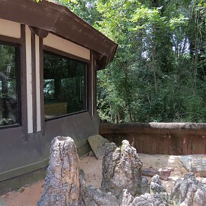 Ndoki Forest - Meerkat Exhibit