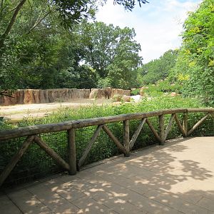 Ndoki Forest - African Elephant Exhibit (now empty after these photos were taken)