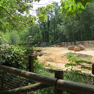 Ndoki Forest - African Elephant Exhibit (now empty after these photos were taken)
