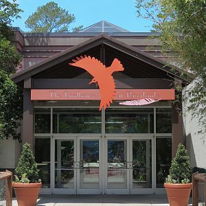 Birdhouse - Entrance