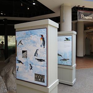 Birdhouse - Penguin Coast Exhibit - Entry Graphics