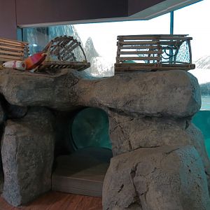 Birdhouse - Penguin Coast Exhibit