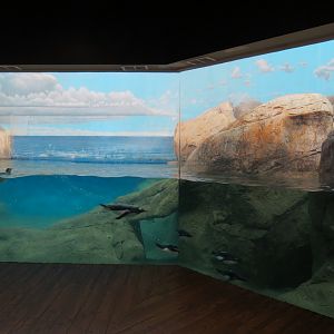 Birdhouse - Penguin Coast Exhibit