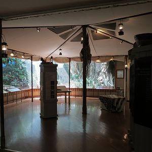 Birdhouse - Savanna Camp - Viewing Area