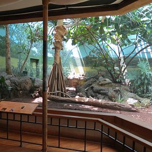 Birdhouse - Savanna Camp - South American Birds Exhibit