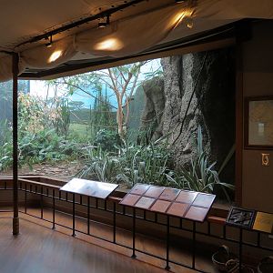 Birdhouse - Savanna Camp - African Birds Exhibit