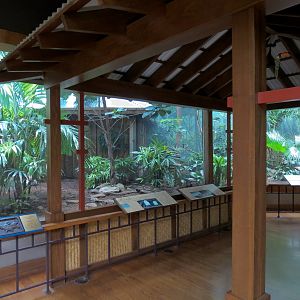 Birdhouse - Asian Trek - Bali Mynah and Others Exhibit