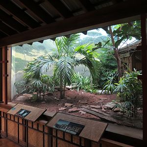 Birdhouse - Asian Trek - Bali Mynah and Others Exhibit