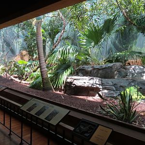 Birdhouse - Asian Trek - Victoria Crowned Pigeon and Others Exhibit