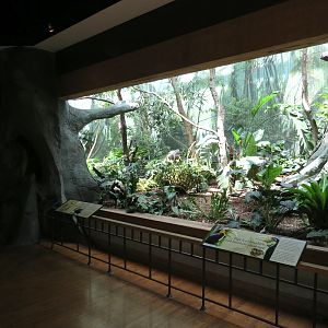 Birdhouse - Asian Trek - Wreathed Hornbill Exhibit