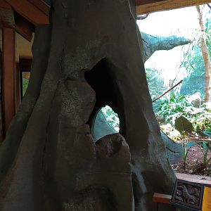Birdhouse - Asian Trek - Wreathed Hornbill Exhibit