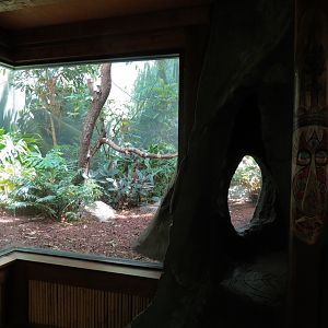 Birdhouse - Asian Trek - Wreathed Hornbill Exhibit