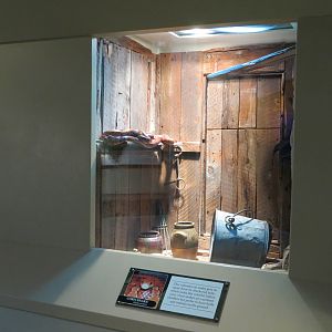 ARC - South Carolina - Corn Snake Exhibit