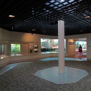 ARC - South Carolina - Exhibit Room