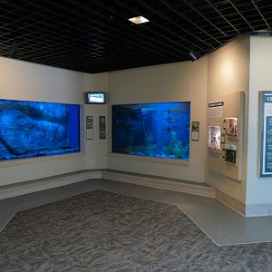 ARC - South Carolina - Exhibit Room