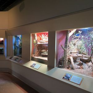 ARC - The Desert - Exhibit Room