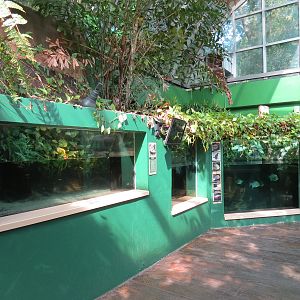 ARC - Tropical Rainforests - Exhibit Room