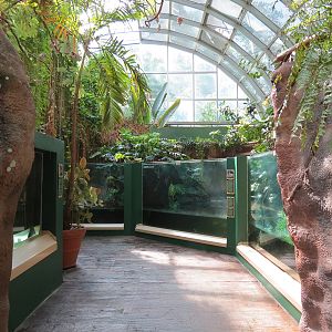ARC - Tropical Rainforests - Exhibit Room