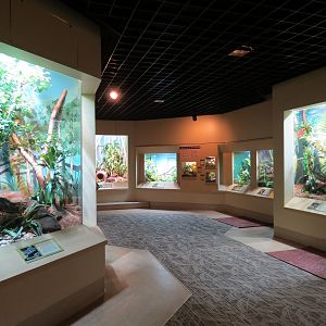 ARC - Tropical Gallery - Exhibit Room