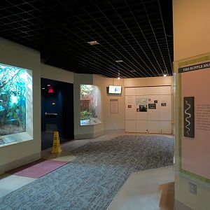 ARC - Tropical Gallery - Exhibit Room