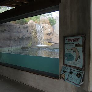 Otter Run Exhibit