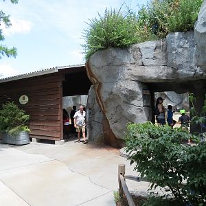 Grizzly Ridge Exhibit