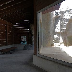 Grizzly Ridge Exhibit