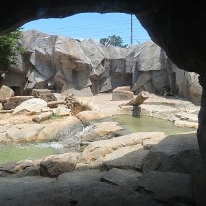 Grizzly Ridge Exhibit