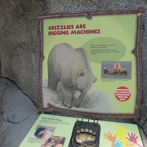 Grizzly Ridge Exhibit