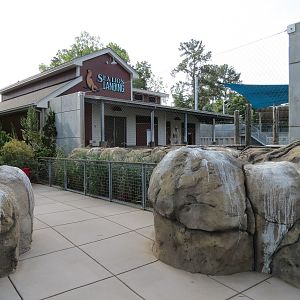 Sea Lion Landing - Surface Viewing Area