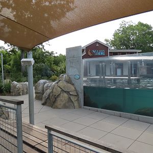 Sea Lion Landing - View from Viewing Amphitheater