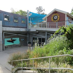 Sea Lion Landing - Overview