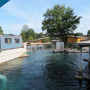 Sea Lion Landing - View from Upper Viewing Deck