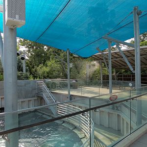 Sea Lion Landing - Upper Viewing Deck