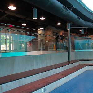 Sea Lion Landing - Underwater Viewing Room Seating