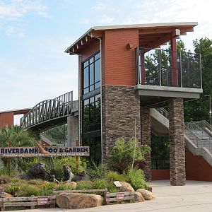 Entrance & Exit Area - Pedestrian Bridge Over Traintracks